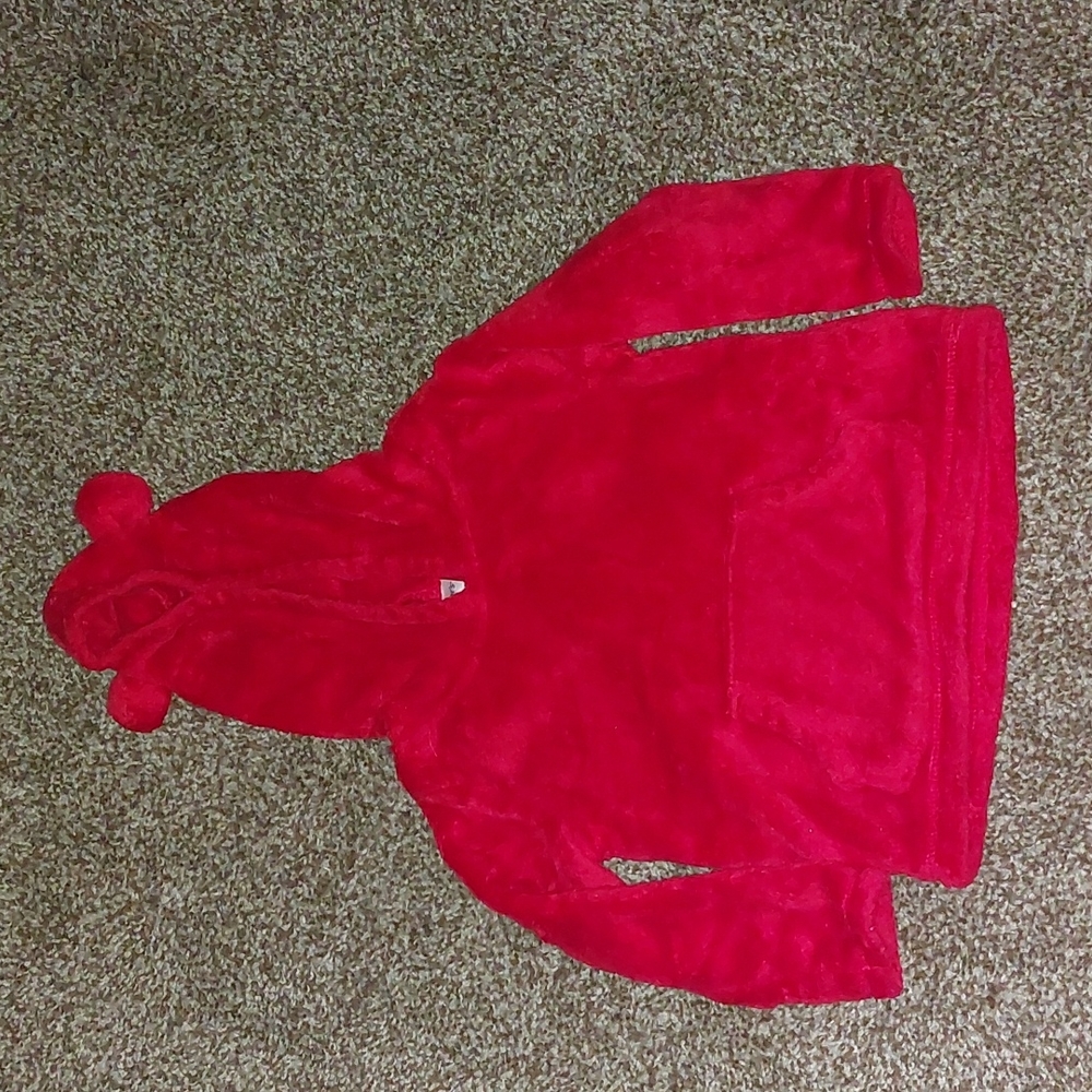 Red Carter's Hooded Sweatshirt
